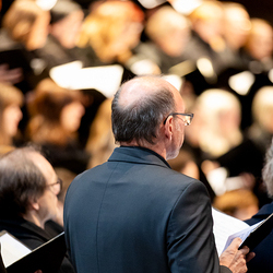 Allerheiligen Stephansdom