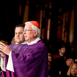 Stephansdom: Österreich nahm Abschied von Papst Franziskus